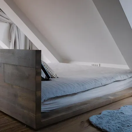 Bela & Vista Penthouse Apartma Ljubljana