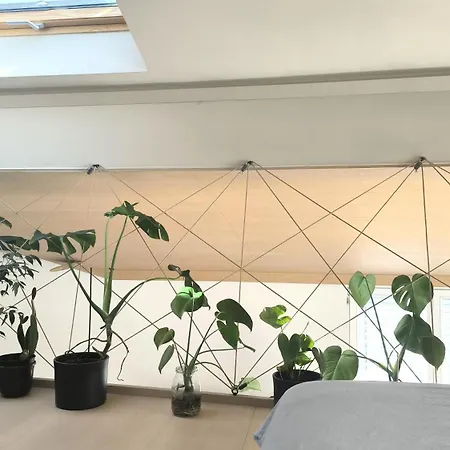 Bela & Vista Penthouse Ljubljana