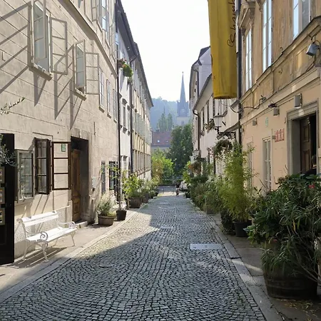 Apartman Bela & Vista Penthouse - Castle View In Old Town Ljubljana