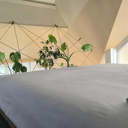아파트 Penthouse View In Town