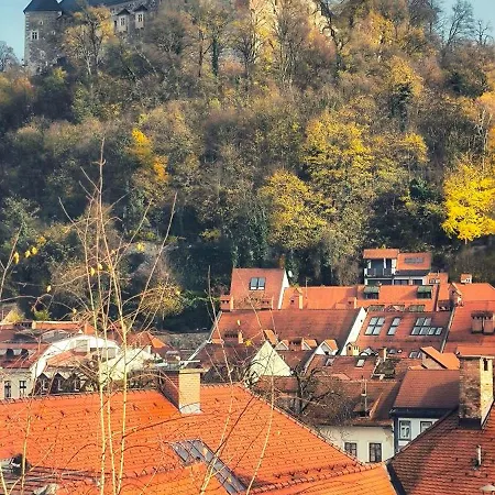 Bela & Vista Penthouse Apartma